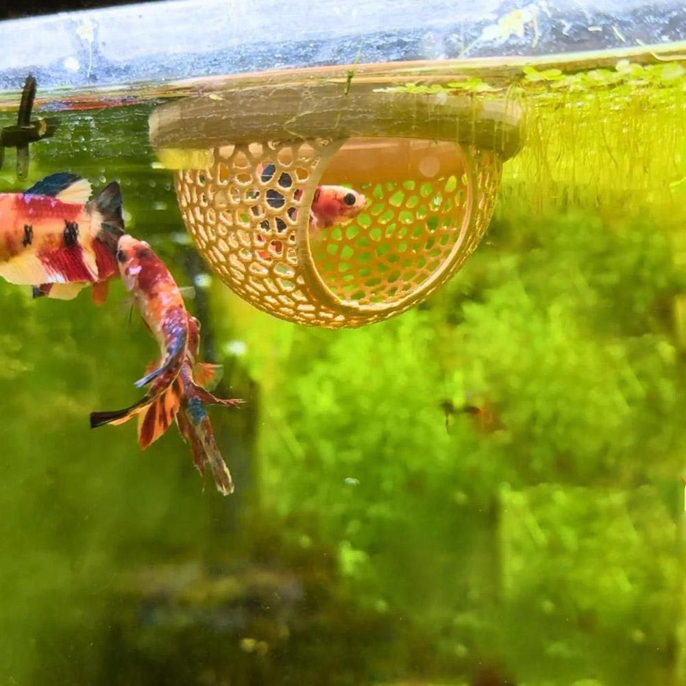 Aquarium Floating Cave Fish Sh – Aquarium Fish Betta recenzja i cena