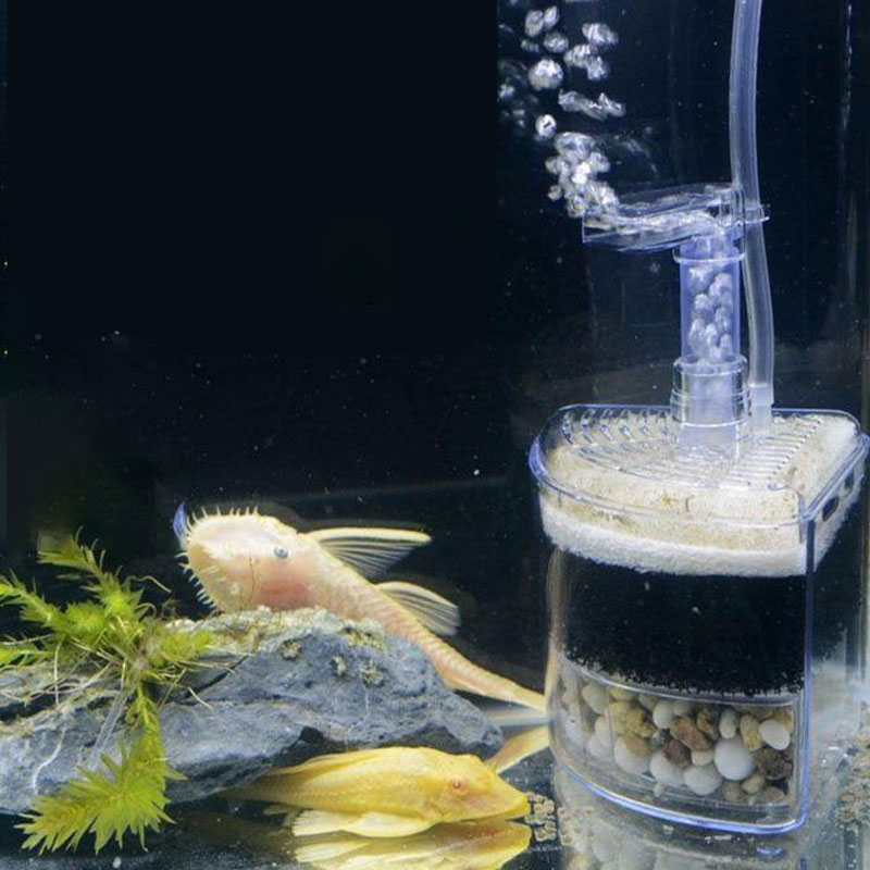 Multi-layer Media Pneumatic Fi – Aquarium Fish Betta recenzja i cena