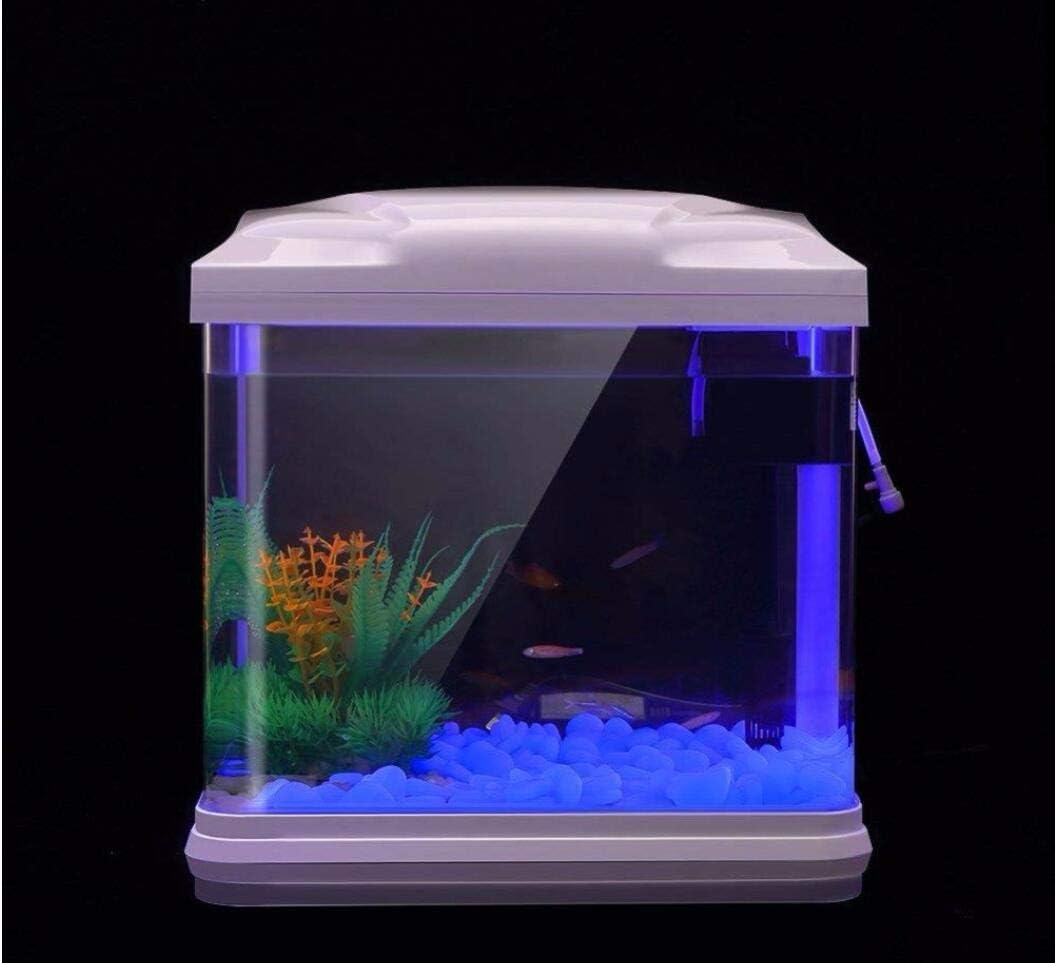 Fish Tank Rocks Glow Blue Pebb – Aquarium Fish House recenzja i cena