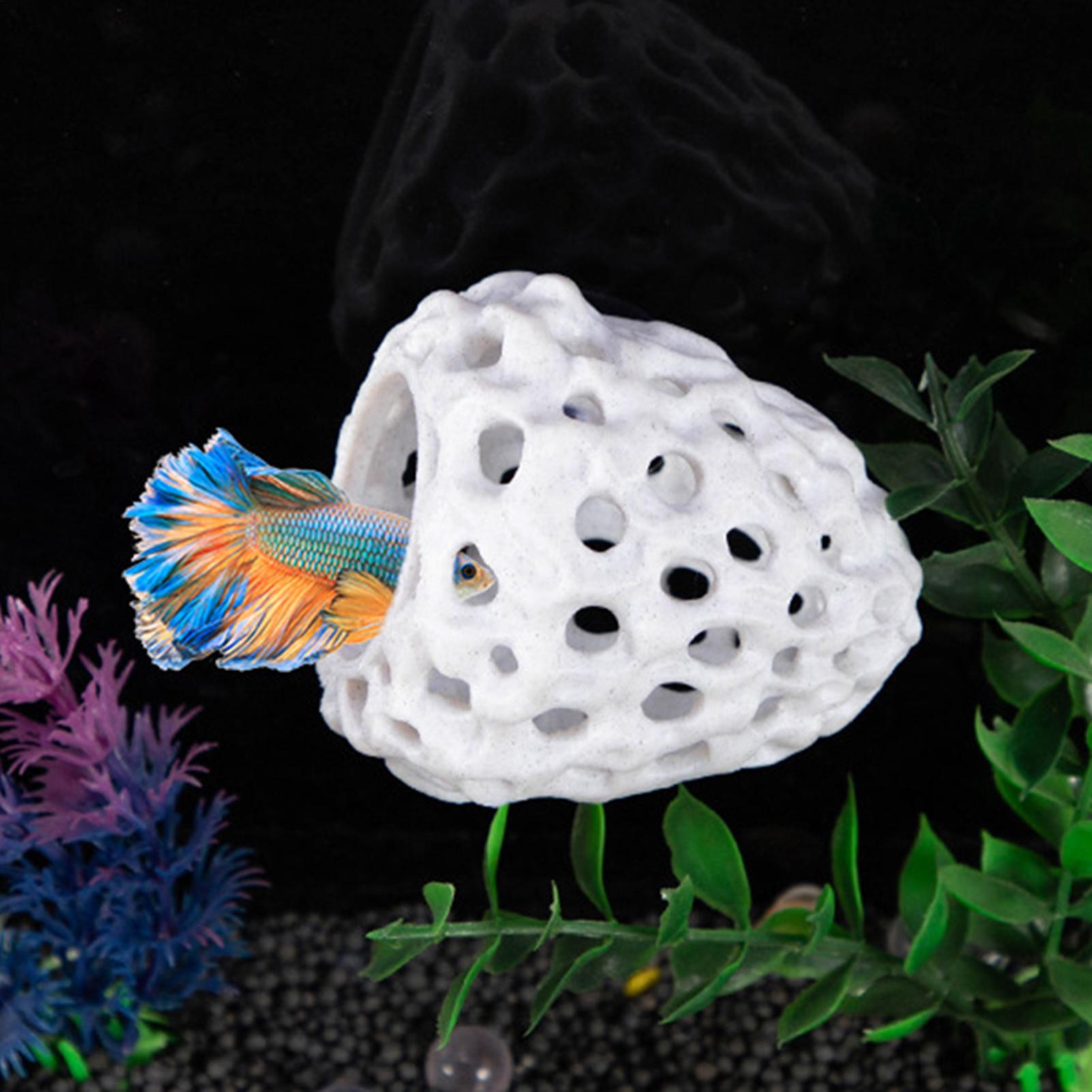 Aquarium shrimp house Cave Min – Aquarium Fish Hiding Spot recenzja i cena