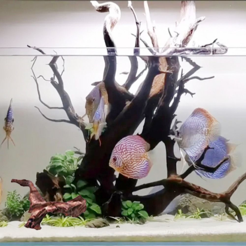 Creative Irregular Shape Coral – Aquarium Fish Hide recenzja i cena