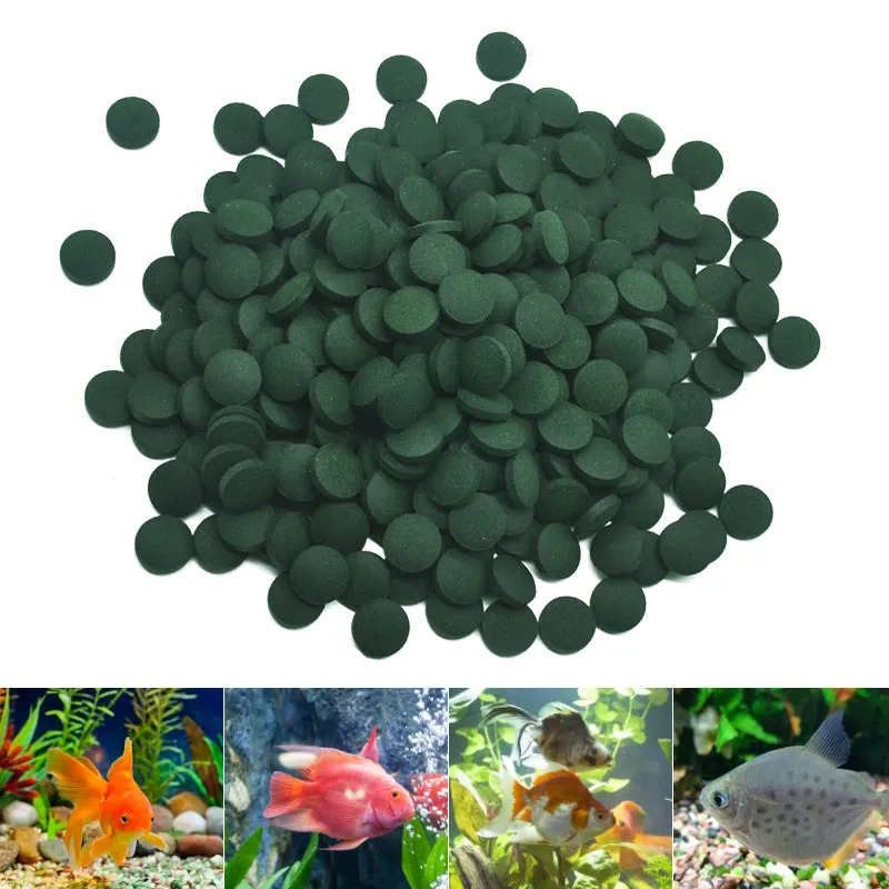50-300Pcs High Purity Spirulin – Aquarium Fish Price recenzja i cena