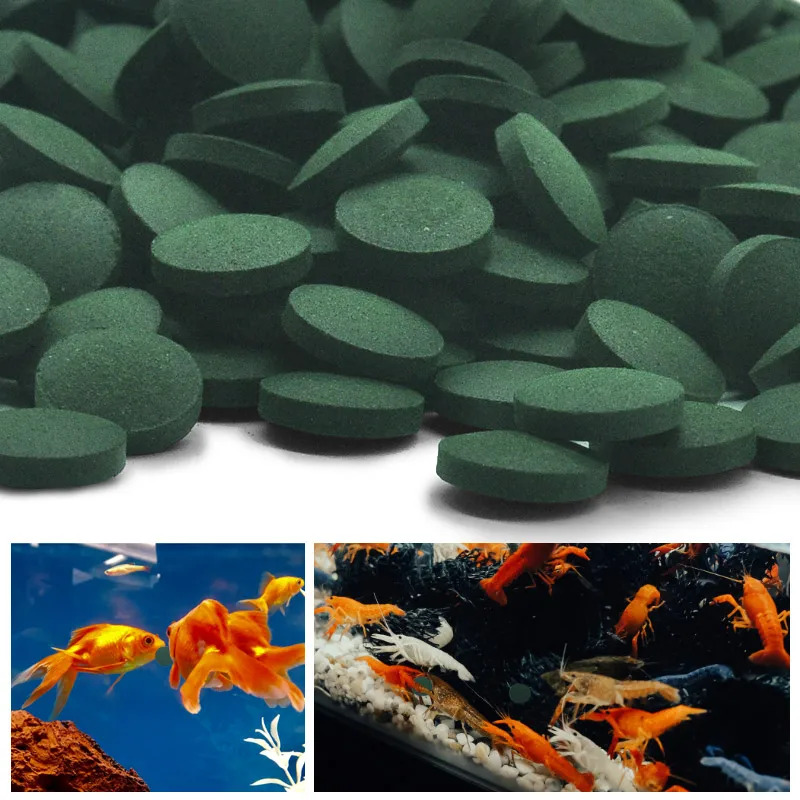 50-300Pcs High Purity Spirulin – Aquarium Fish Price recenzja i cena