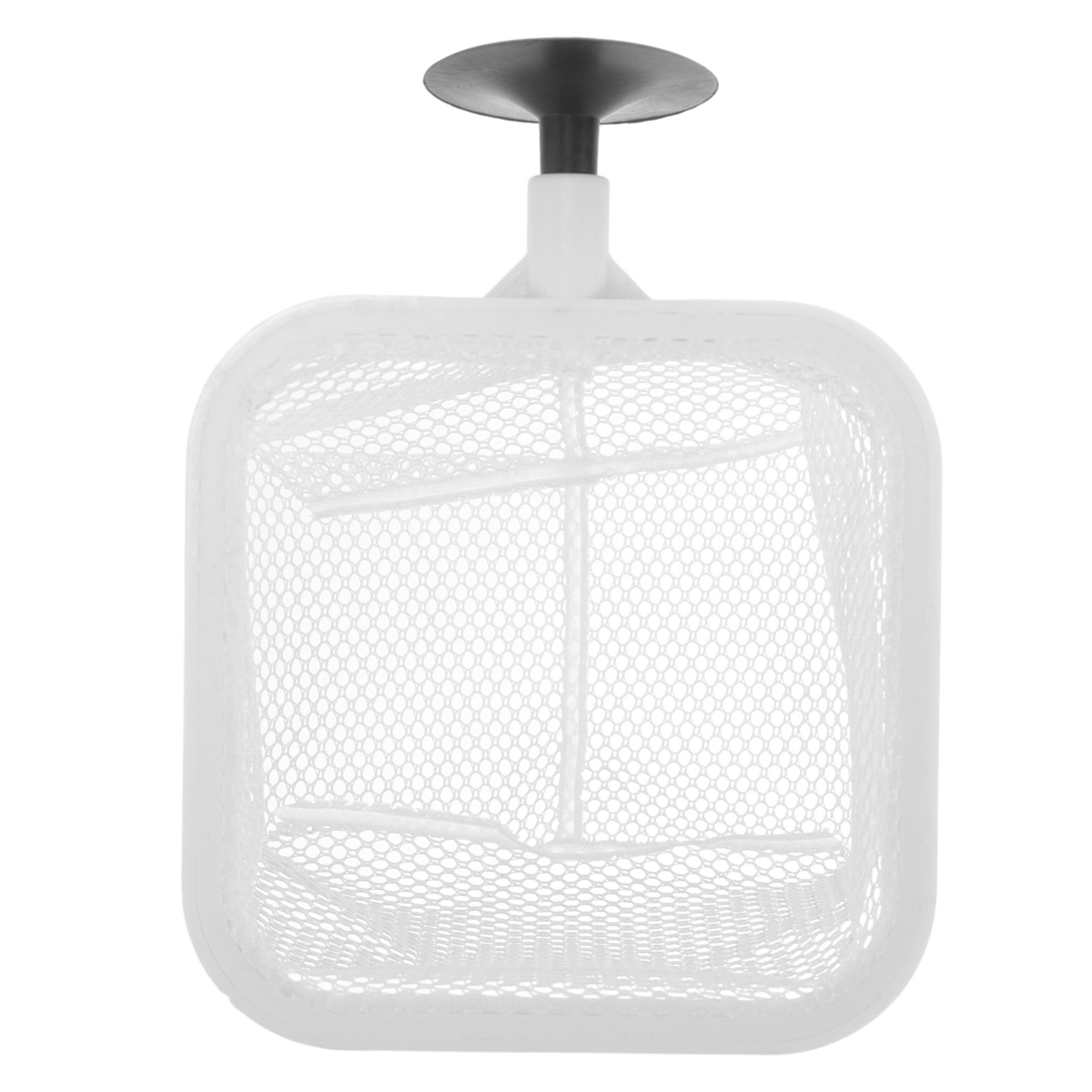 Fish Tank Isolation Box with S – Tank Divider Mesh recenzja i cena