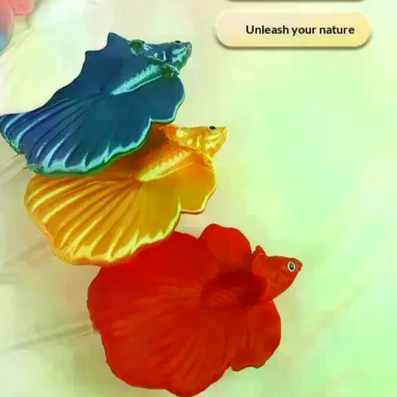 Colorful Aquarium Betta Traini – Aquarium Fish Betta recenzja i cena