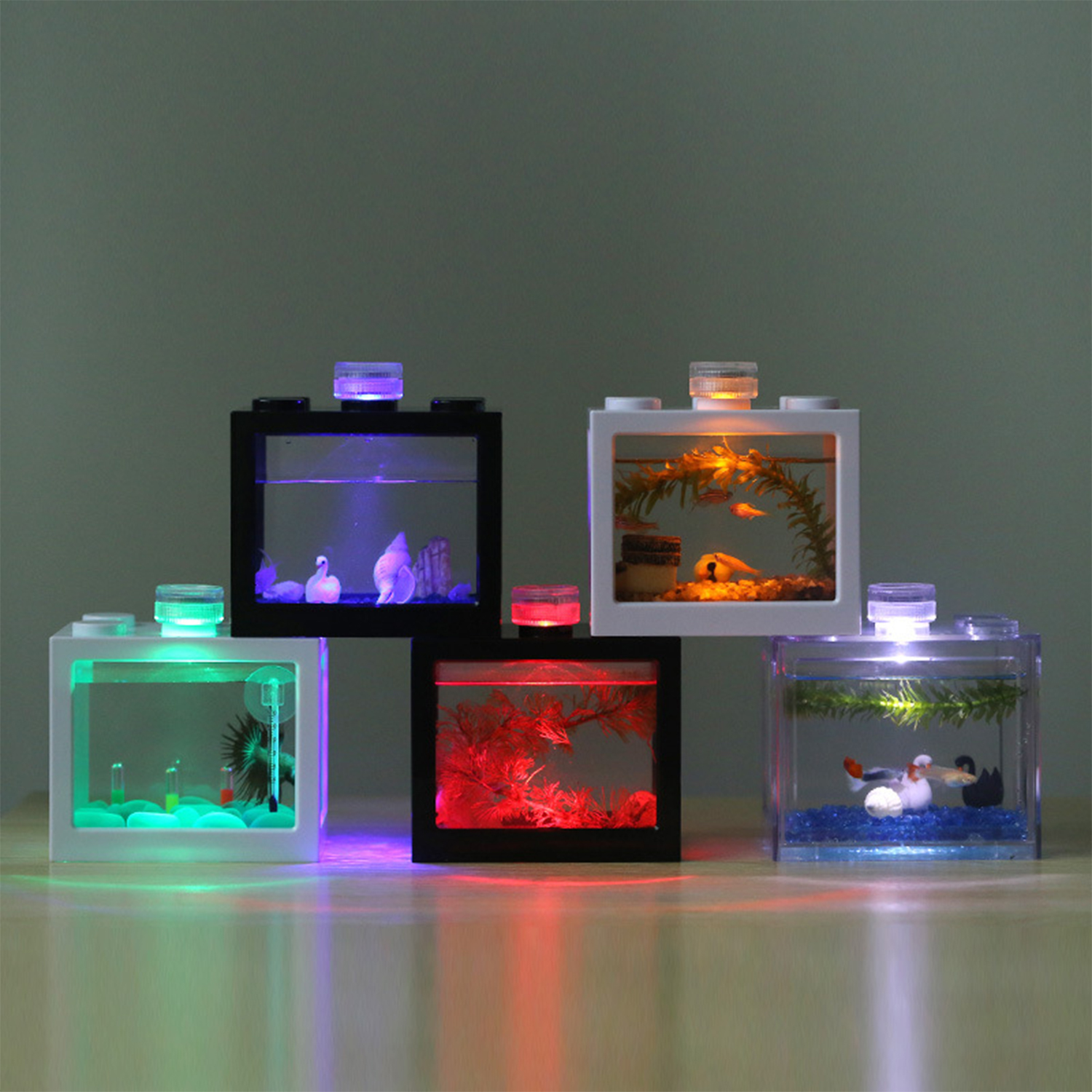 Plastic Betta Fish Tank  Aquar – Aquarium Fish Betta recenzja i cena
