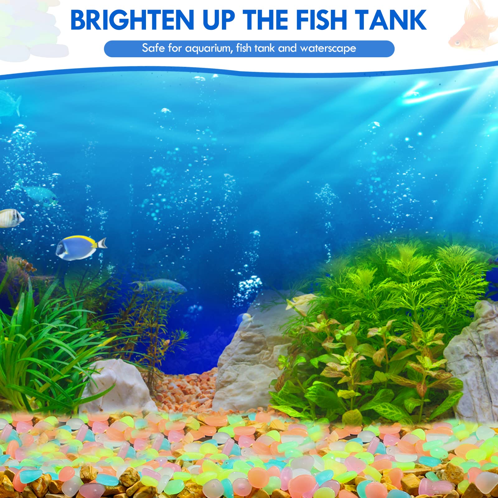 100Pcs Glow in the Dark Garden – Aquarium Fish House recenzja i cena