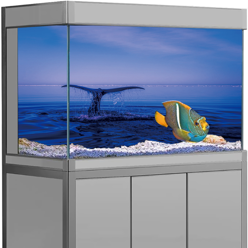 Aquarium Background Sticker Do – Aquarium Fish Dolphin recenzja i cena
