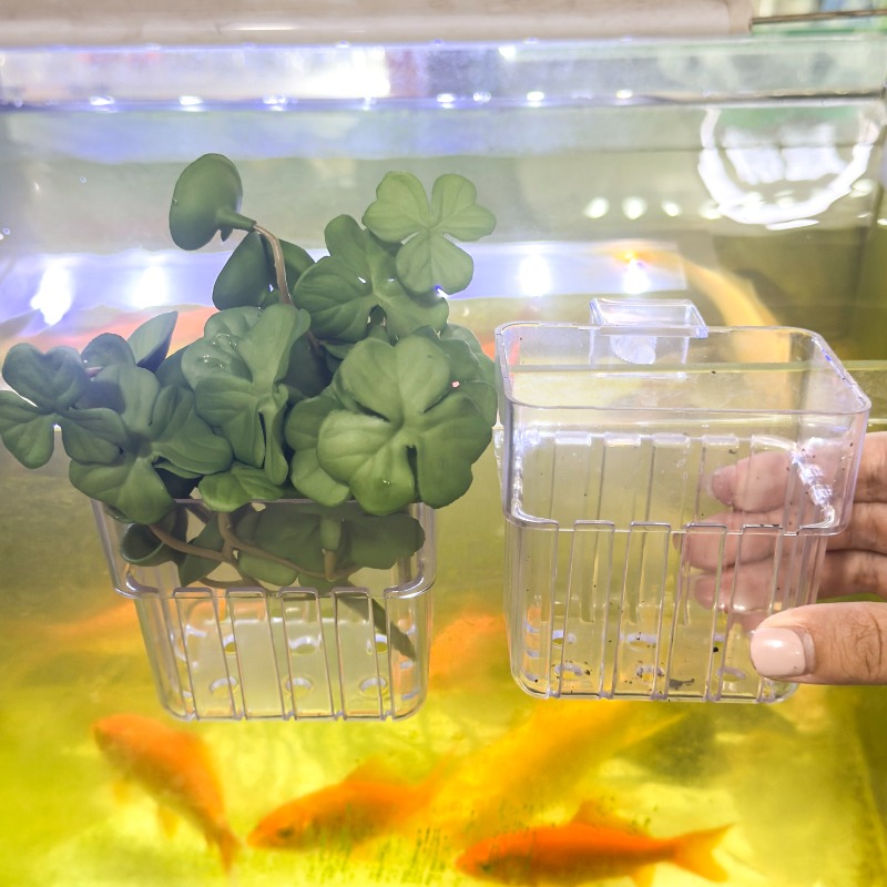 1/5pcs Aquarium Decoration Pla – Aquarium Fish House recenzja i cena