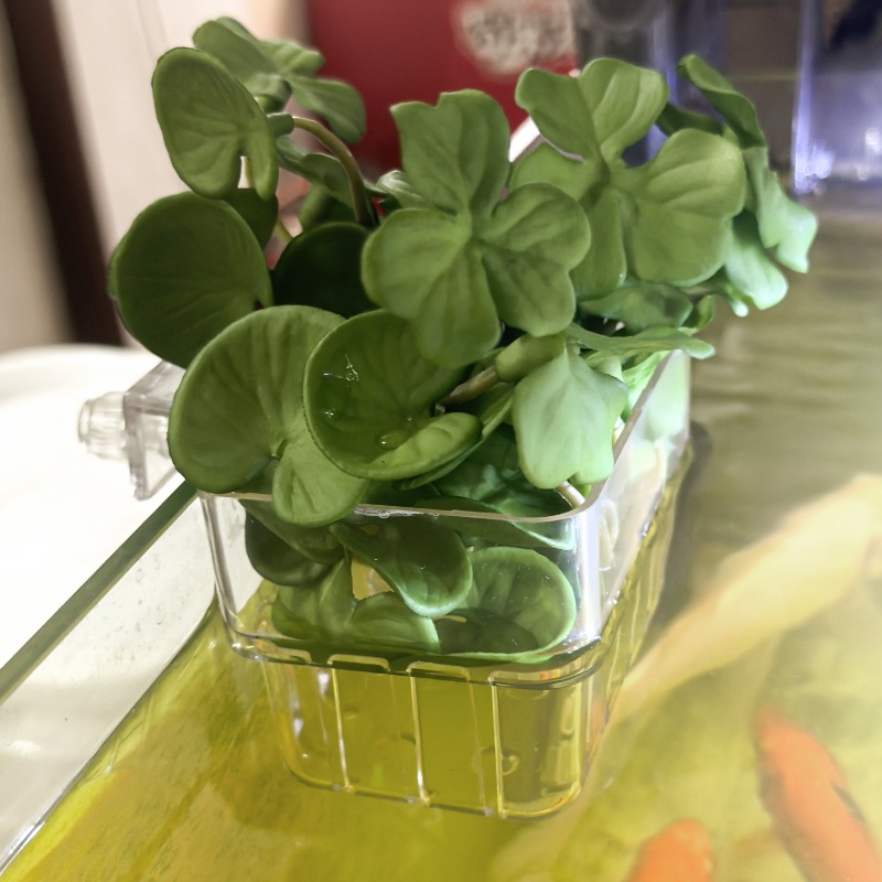 1/5pcs Aquarium Decoration Pla – Aquarium Fish House recenzja i cena