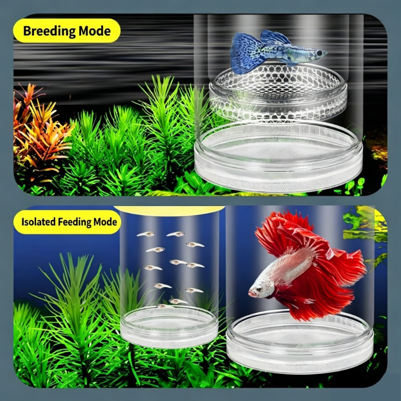 Transparent Floating Aquarium  – Aquarium Fish Betta recenzja i cena