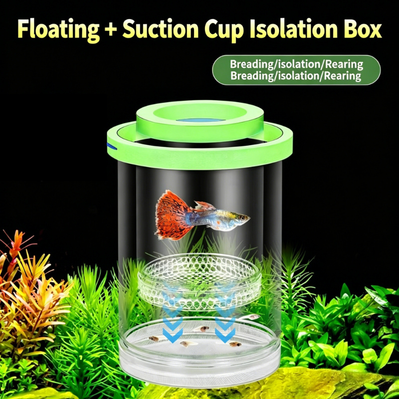 Transparent Floating Aquarium  – Aquarium Fish Betta recenzja i cena