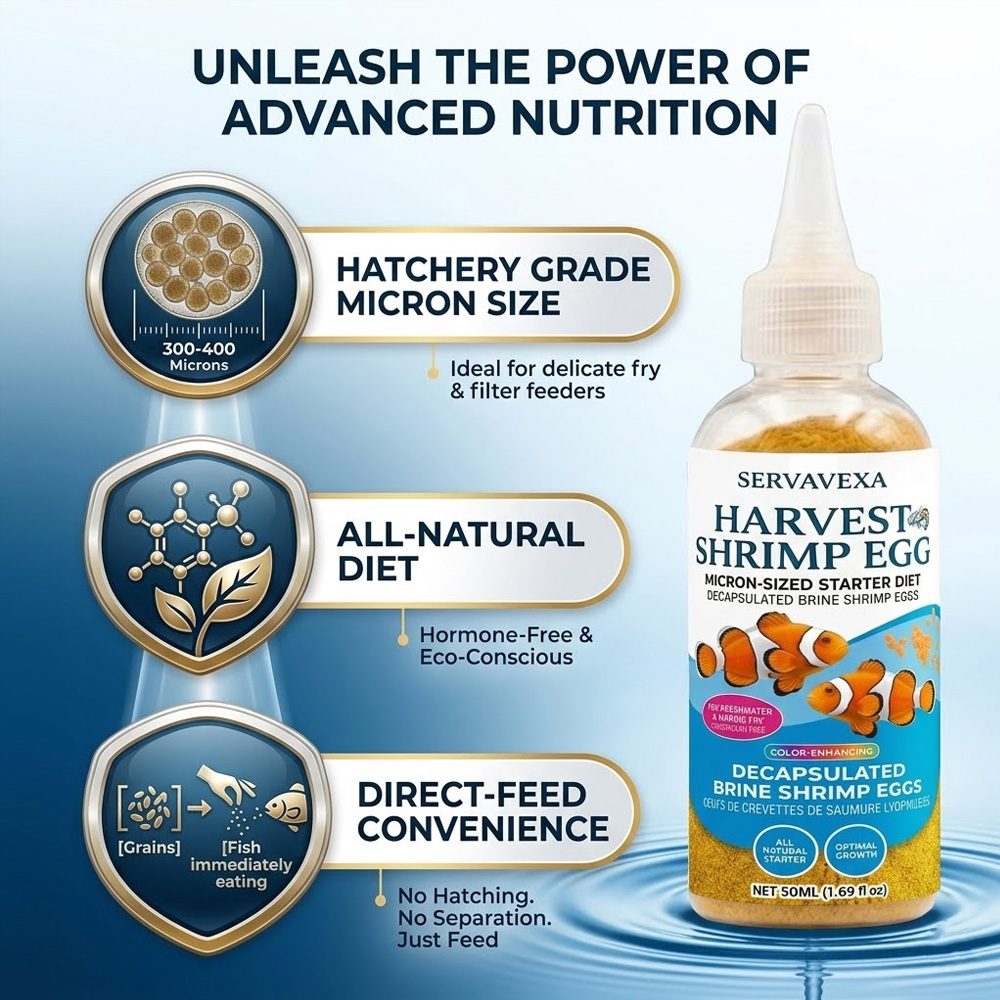 High Protein Fish Food for Bet – Aquarium Fish Price recenzja i cena