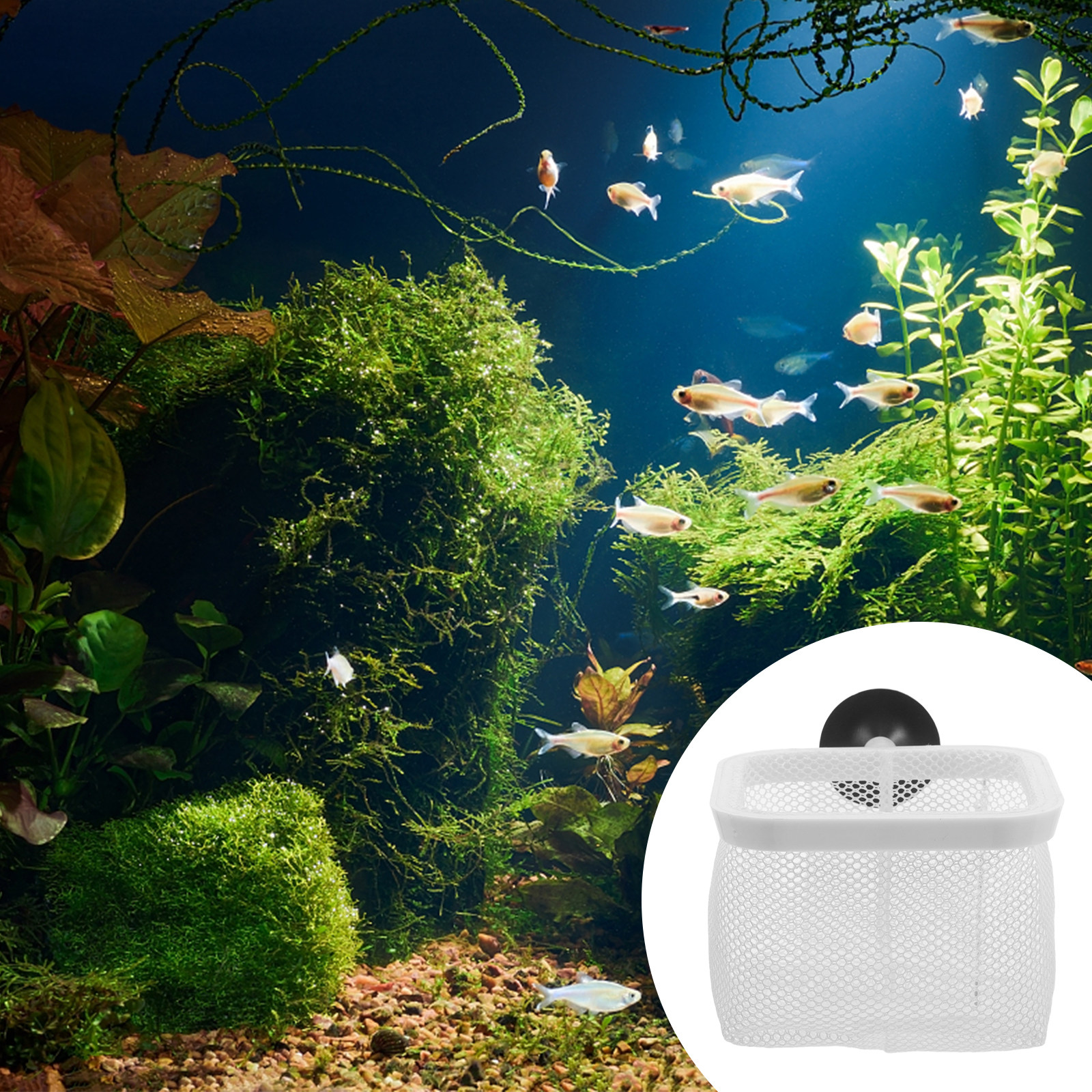 Fish Tank Isolation Net Large  – Tank Divider Mesh recenzja i cena