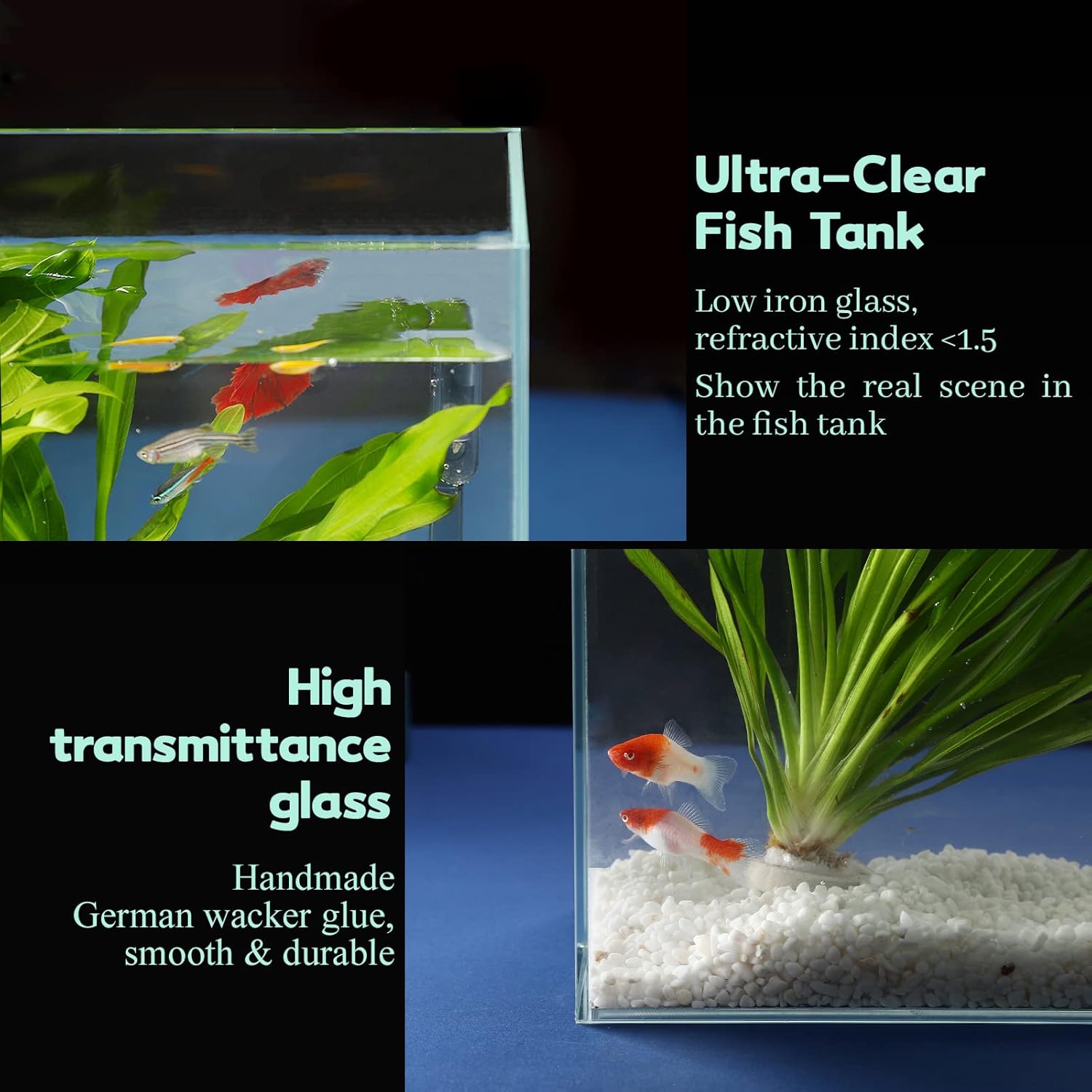 Clear Glass Fish Tank Rimless  – Aquarium Xl recenzja i cena