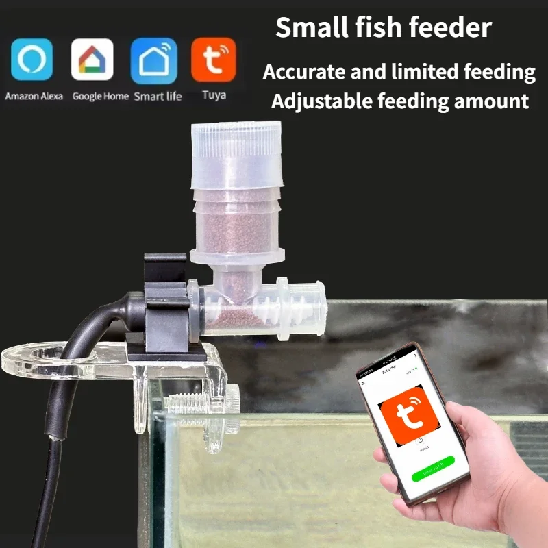 Best Automatic Fish Feeder - W – Aquarium Fish Price recenzja i cena