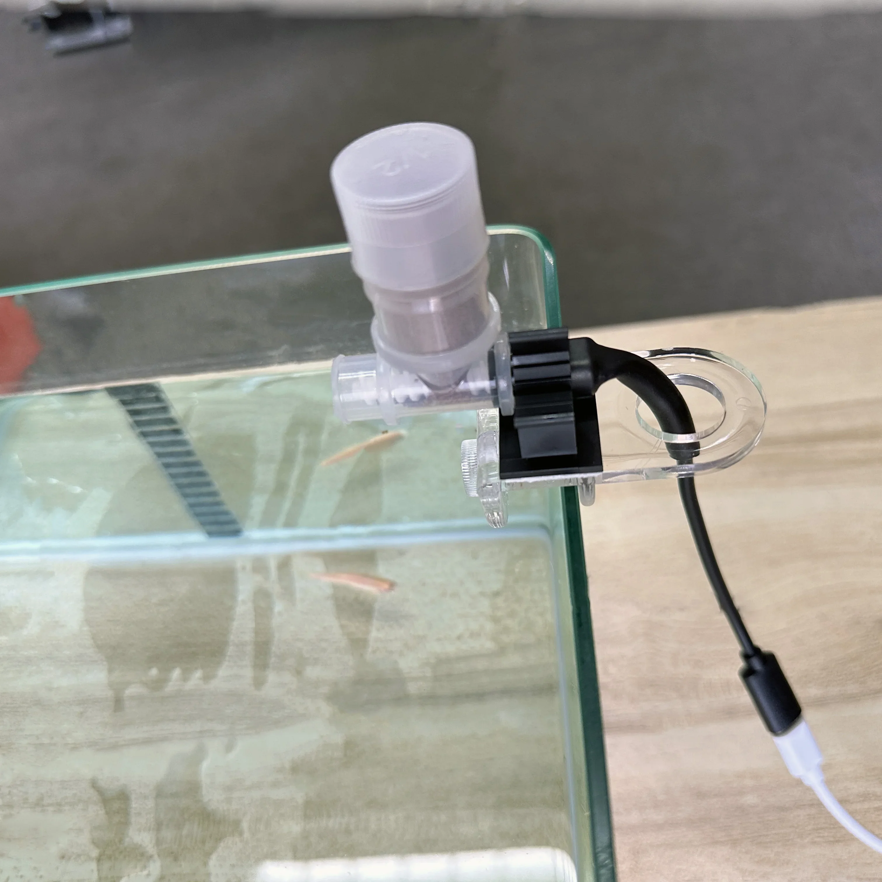 Best Automatic Fish Feeder - W – Aquarium Fish Price recenzja i cena