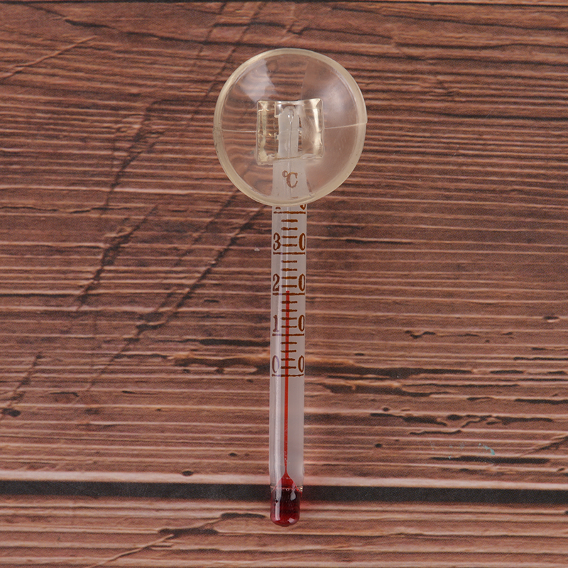 Glass meter aquarium fish tank – Aquarium Fish House recenzja i cena