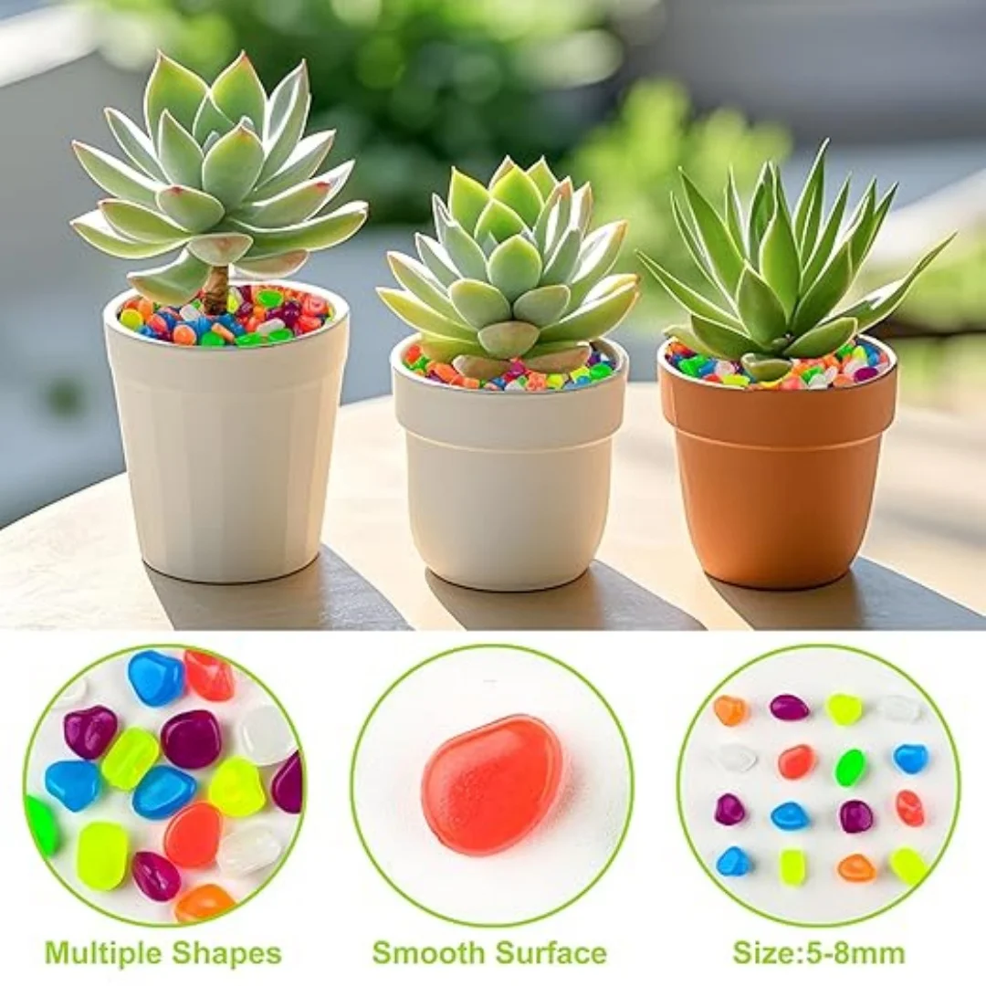 500Pcs Glow in The Dark Garden – Aquarium Fish House recenzja i cena