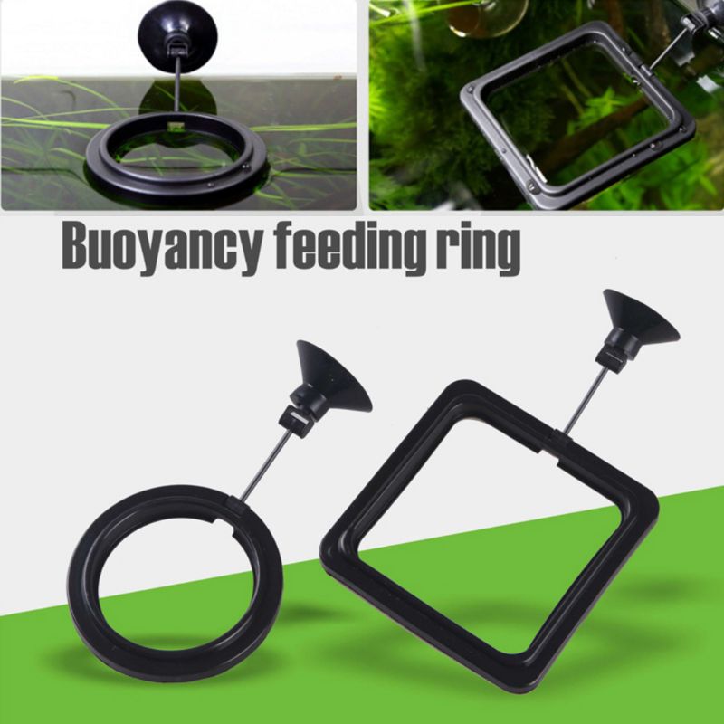 Aquarium Fish Feeding Ring Fis – Aquarium Fish Price recenzja i cena